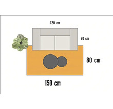 Illustratie van een loungeset met de afmetingen 120 x 60 cm, tafel met twee elementen 150 x 80 cm en een plant.